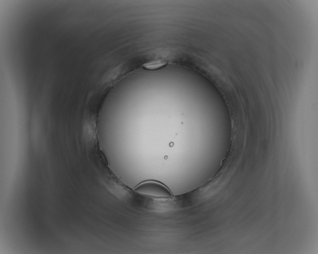 X0000110860240200906251214