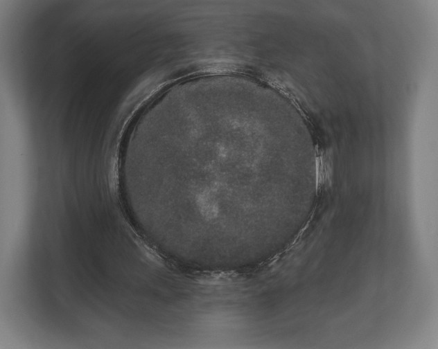 X0000110860243200906251214