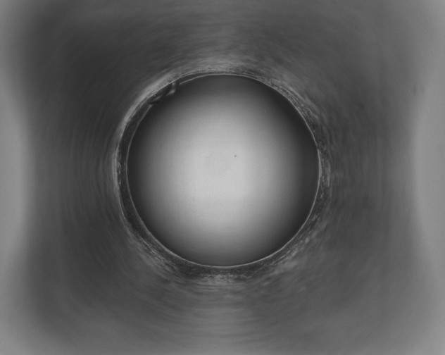 X0000110860244200906251214