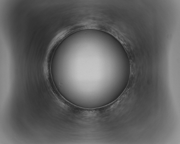 X0000110860245200906251214