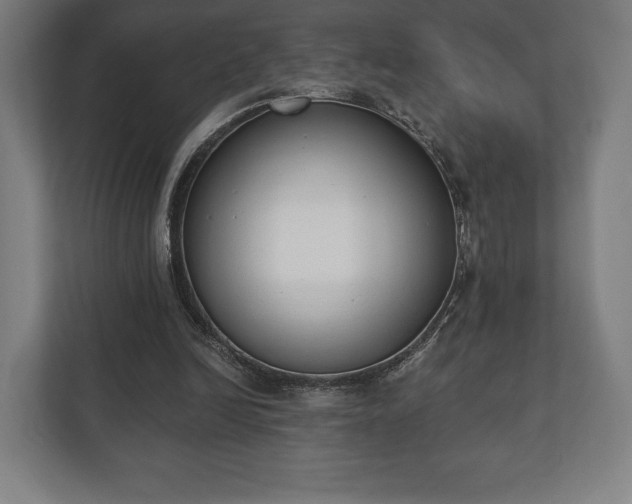 X0000110860246200906251214