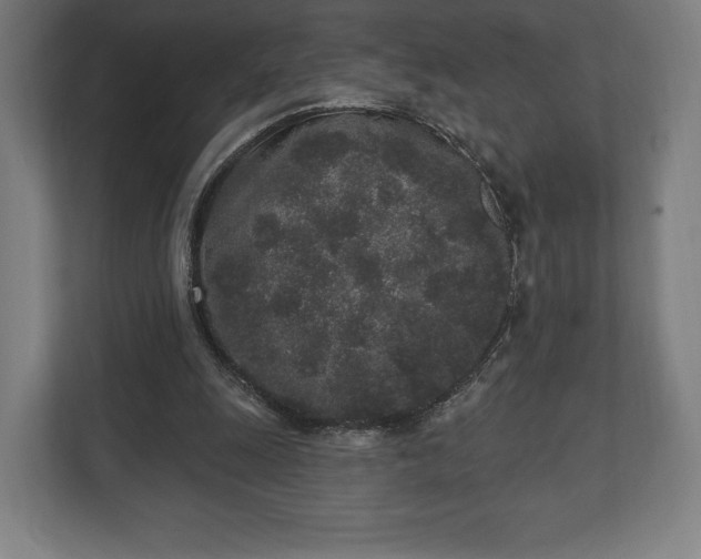 X0000110860247200906251214