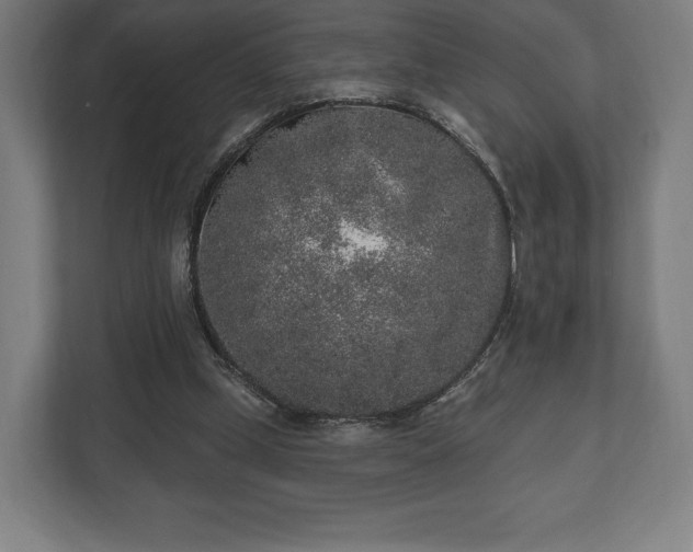 X0000110860249200906251214