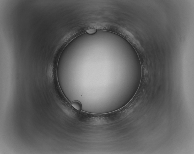 X0000110860250200906251214