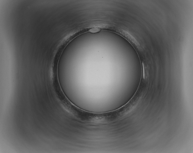 X0000110860252200906251214