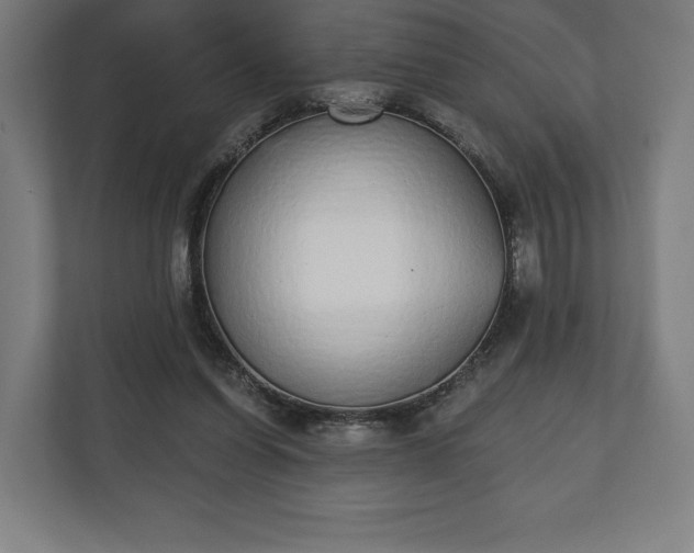 X0000110860254200906251214