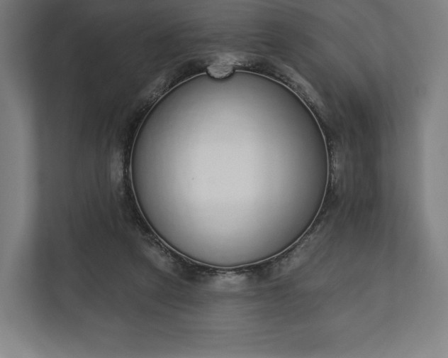 X0000110860257200906251214