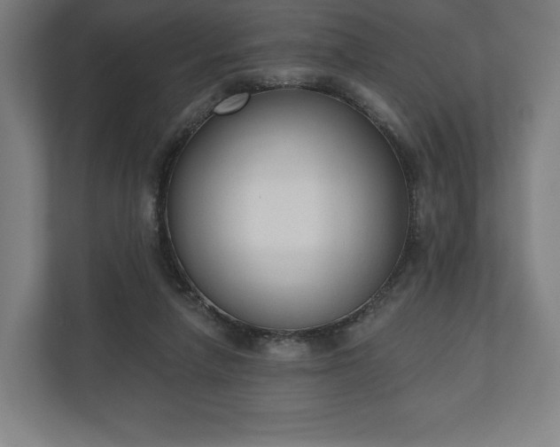 X0000110860258200906251214