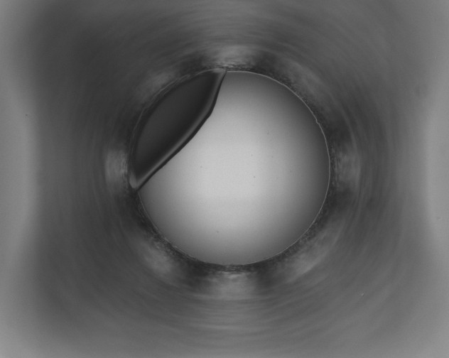 X0000110860260200906251214