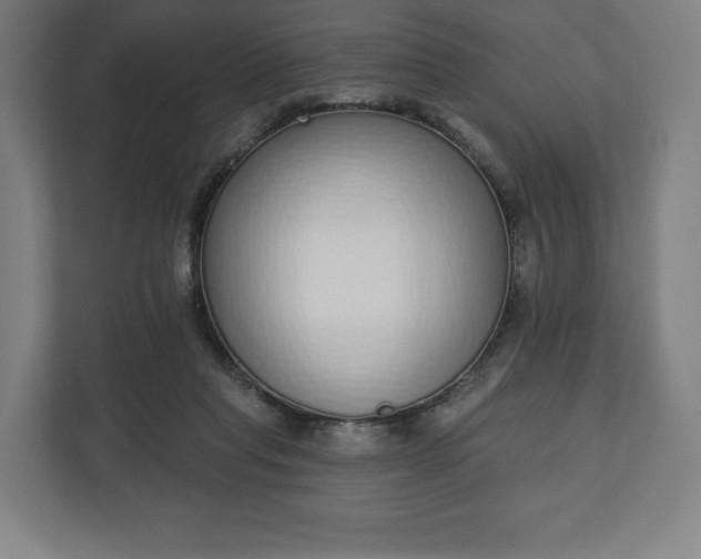 X0000110860261200906251214