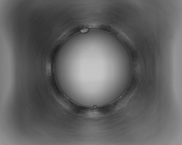 X0000110860262200906251214