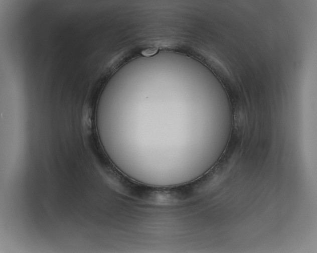 X0000110860264200906251214