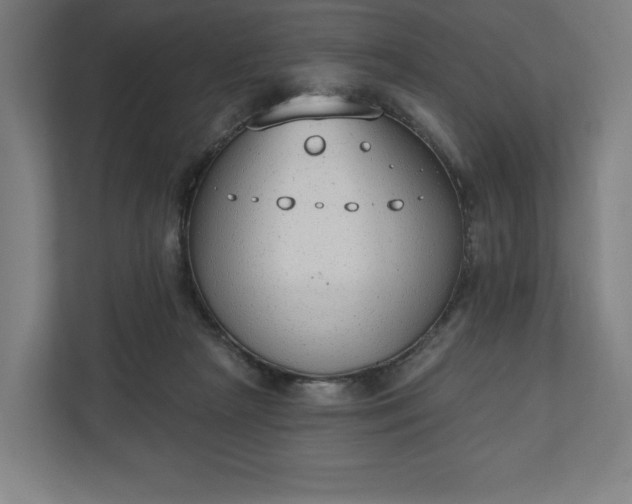 X0000110860265200906251214