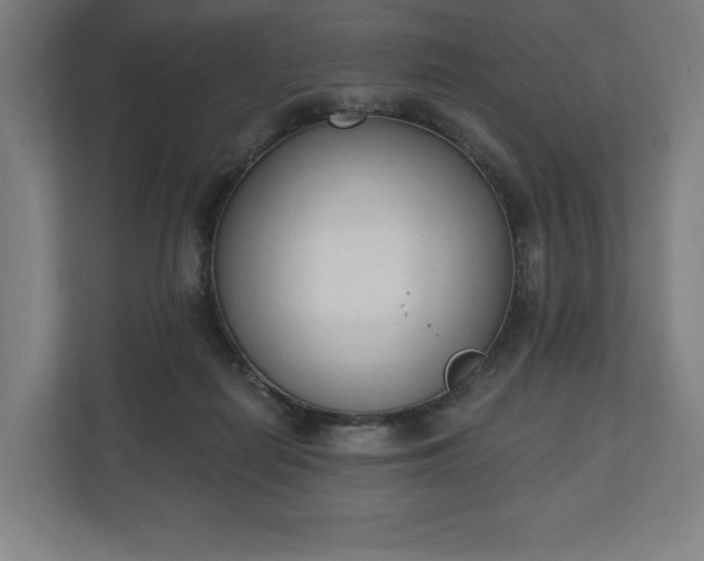 X0000110860266200906251214