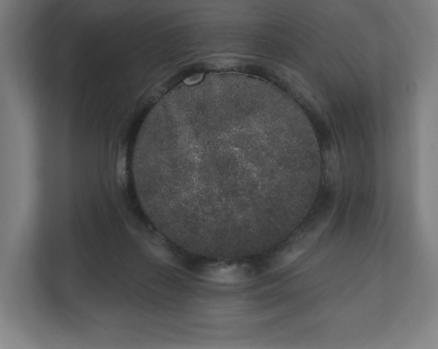 X0000110860267200906251214