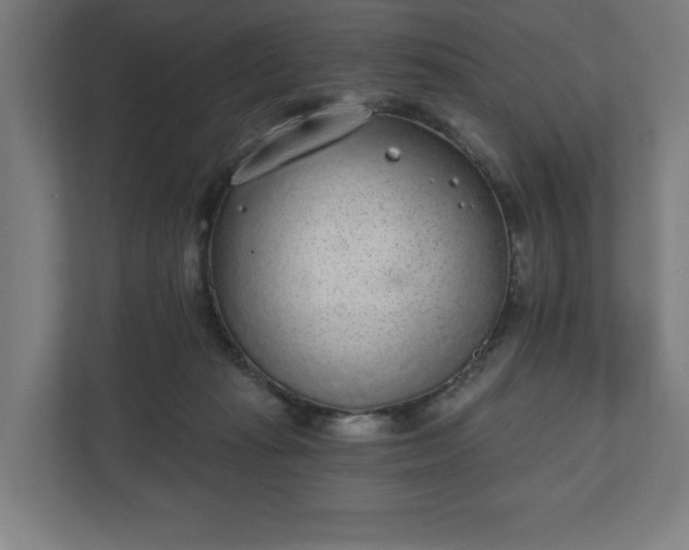 X0000110860269200906251214