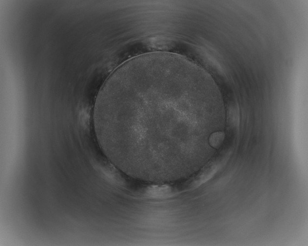 X0000110860271200906251214