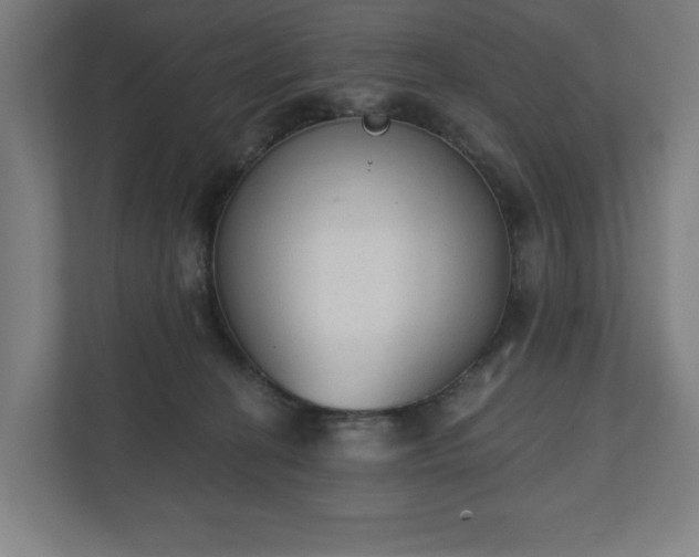 X0000110860274200906251214