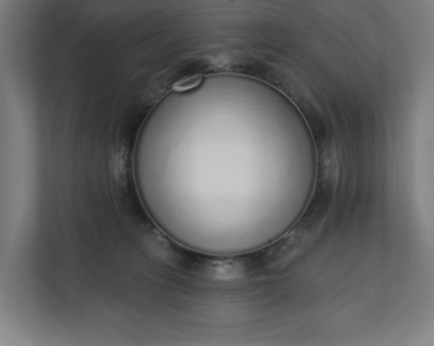 X0000110860275200906251214