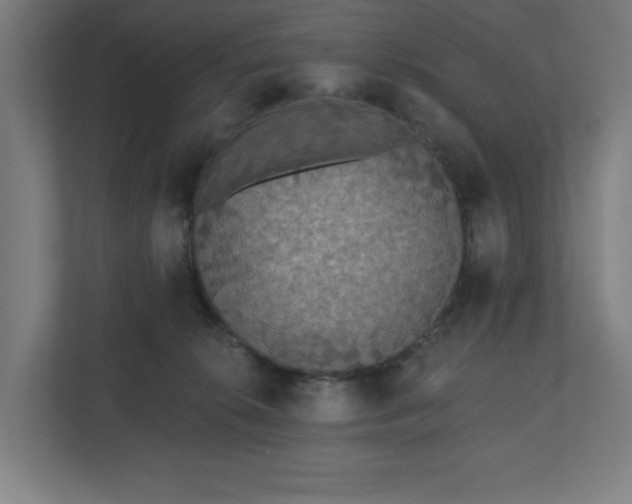 X0000110860276200906251214