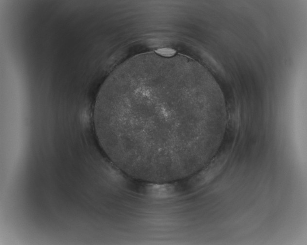 X0000110860277200906251214