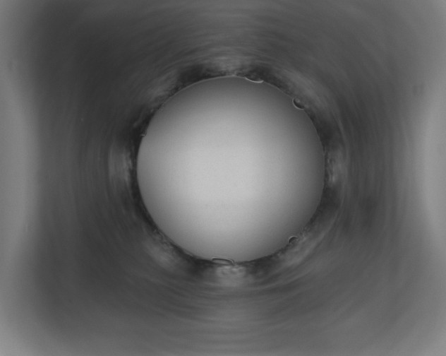 X0000110860279200906251214