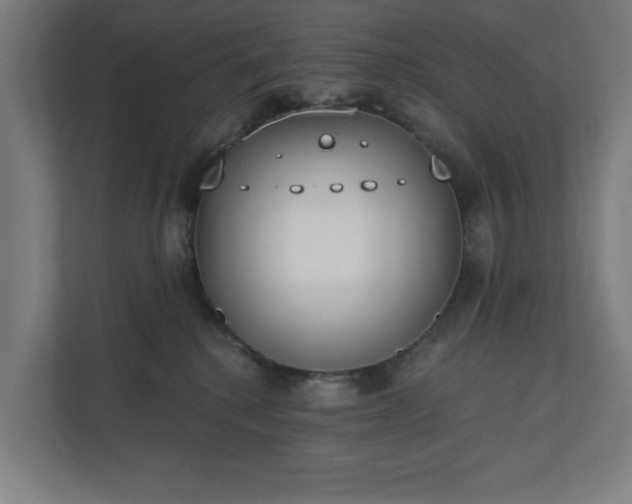 X0000110860280200906251214