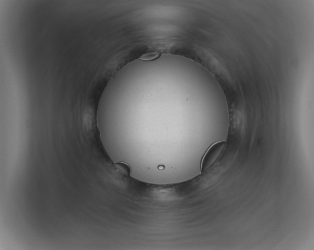 X0000110860283200906251214