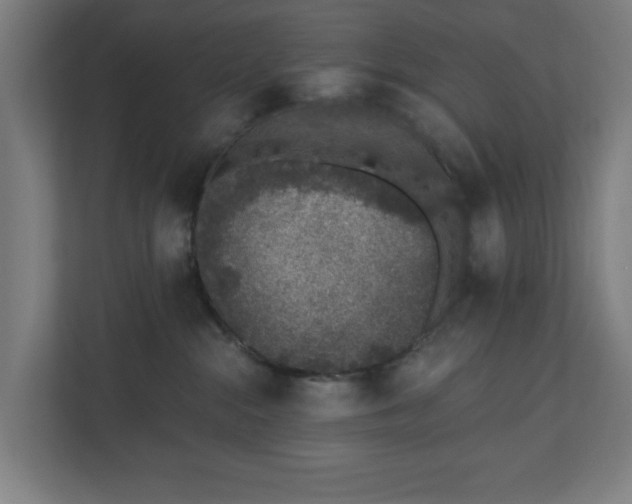 X0000110860284200906251214