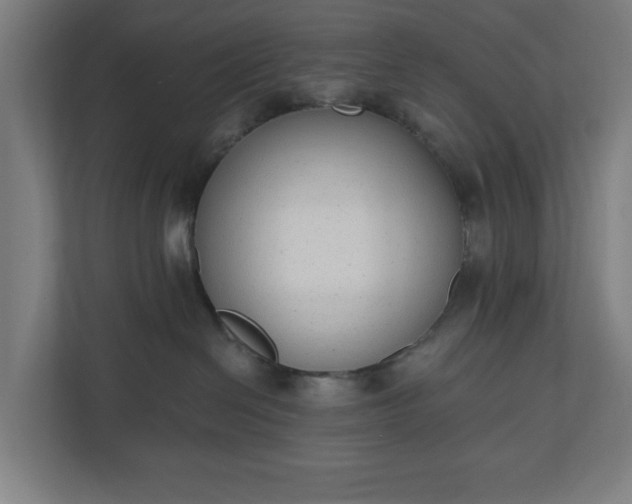 X0000110860286200906251214