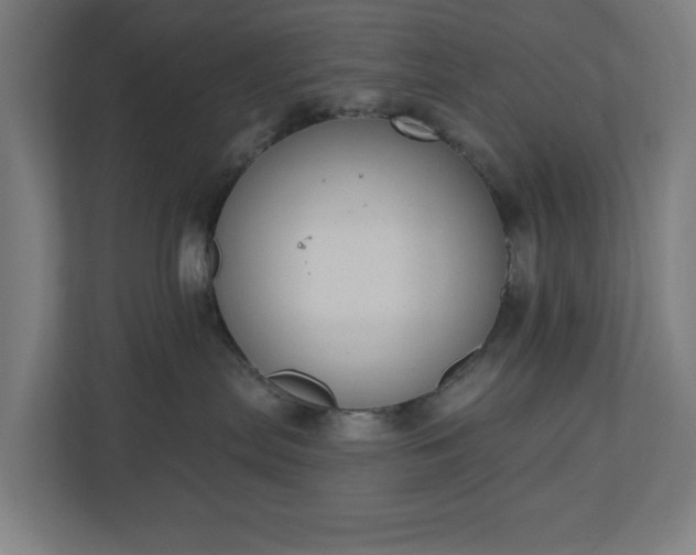 X0000110860287200906251214