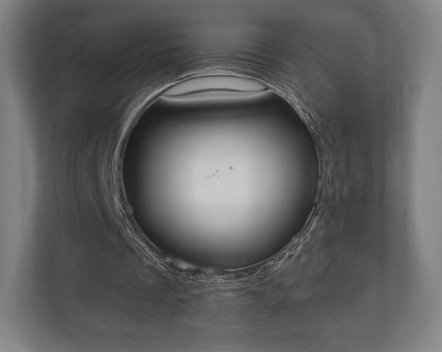 X0000110860289200906251214