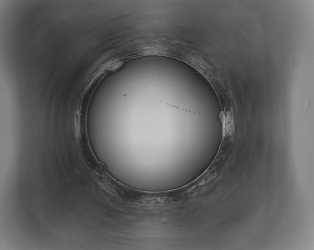 X0000110860291200906251214