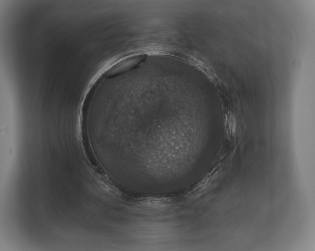 X0000110860292200906251214