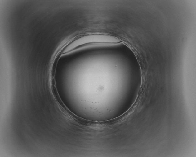 X0000110860293200906251214