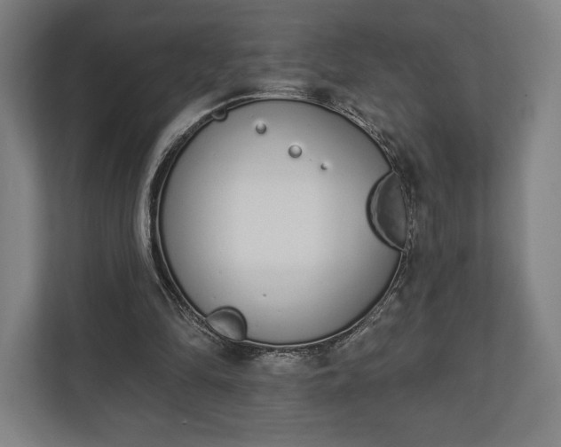 X0000110860294200906251214