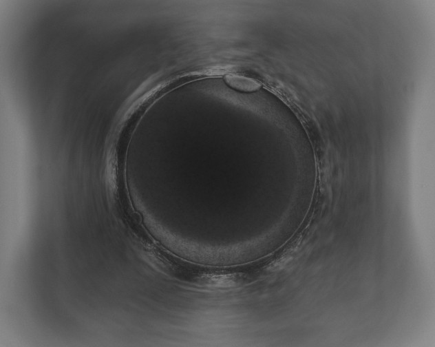 X0000110860295200906251214