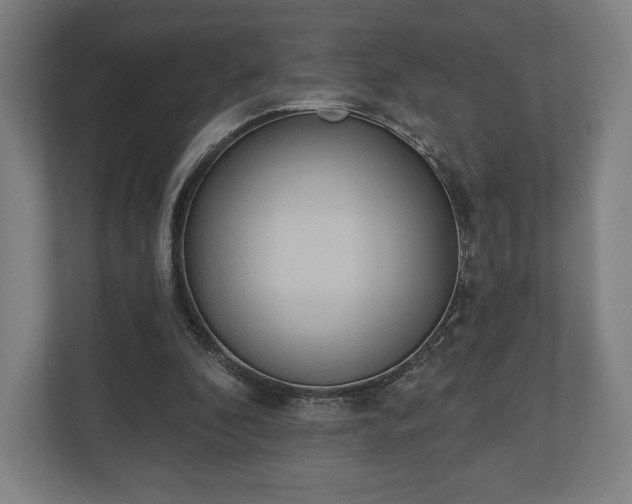 X0000110860296200906251214