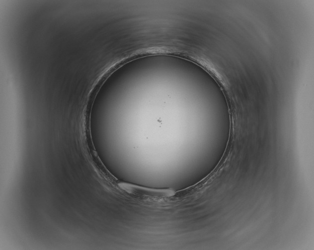 X0000110860297200906251214