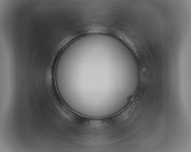 X0000110860298200906251214