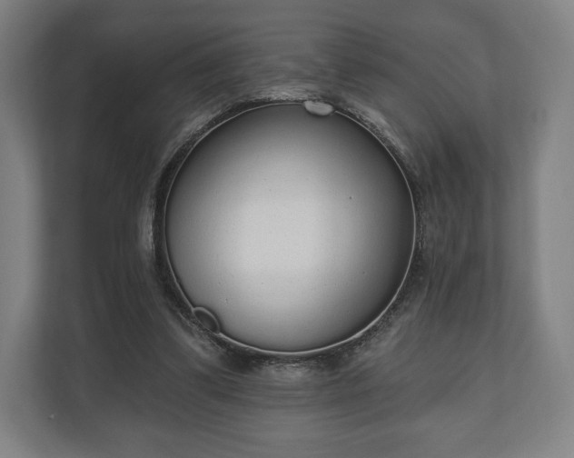 X0000110860299200906251214