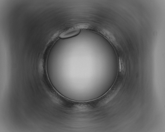 X0000110860300200906251214