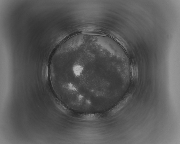 X0000110860301200906251214