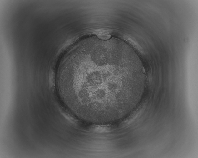 X0000110860303200906251214