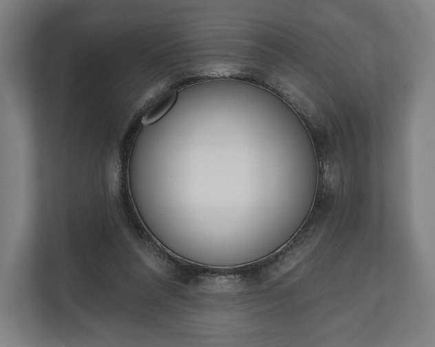 X0000110860304200906251214