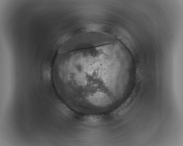 X0000110860305200906251214