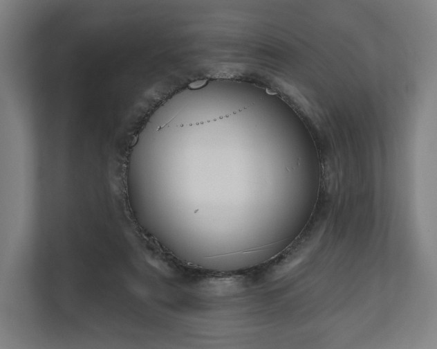 X0000110860307200906251214