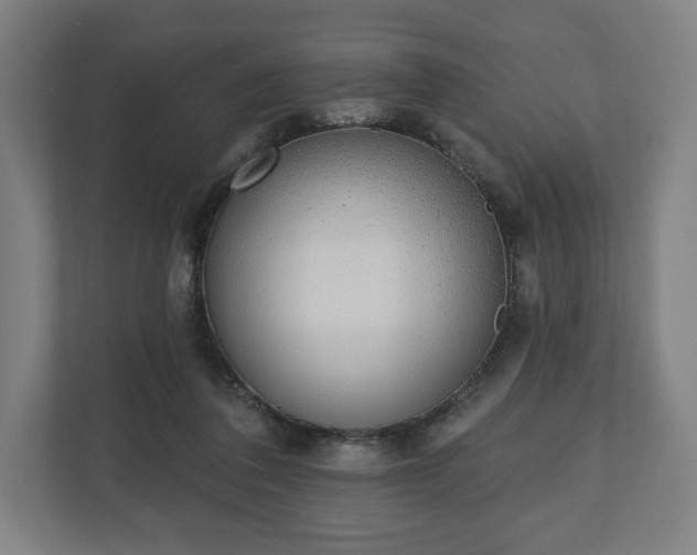 X0000110860308200906251214