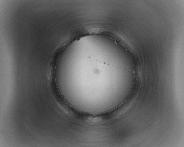 X0000110860311200906251214