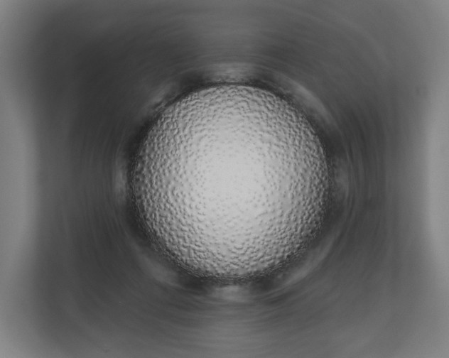 X0000110860312200906251214